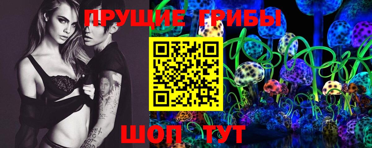 Псилоцибиновые грибы GOLDEN TEACHER Нижний Новгород